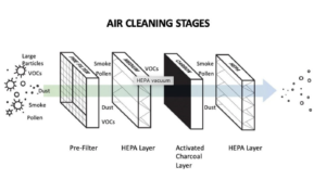  Environmental Hazards, Mold in Homes, Sick Houses