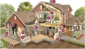  Environmental Hazards in Home Sick Houses