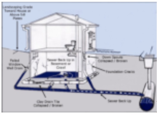  Environmental Hazards in Home Sick Houses